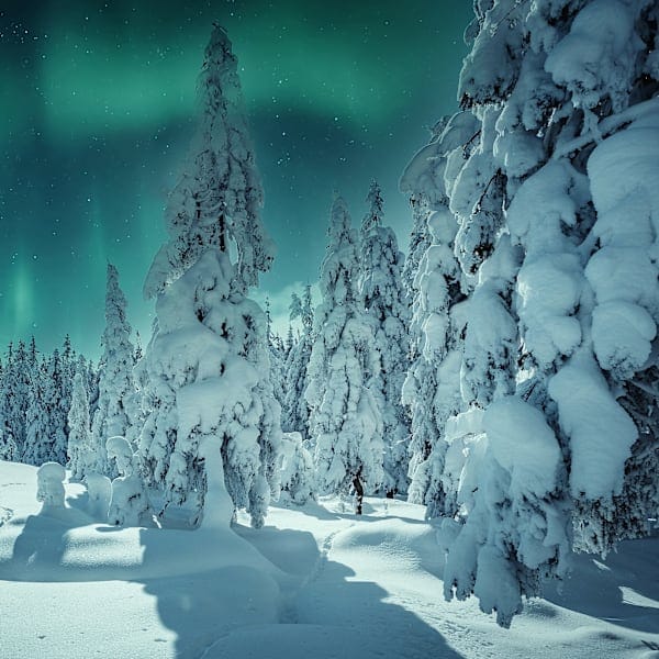 Nordic nights: Northern lights magic in a glass igloo