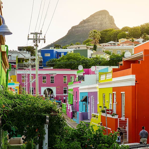 South Africa road trip: Glamping, city life and the Big Five