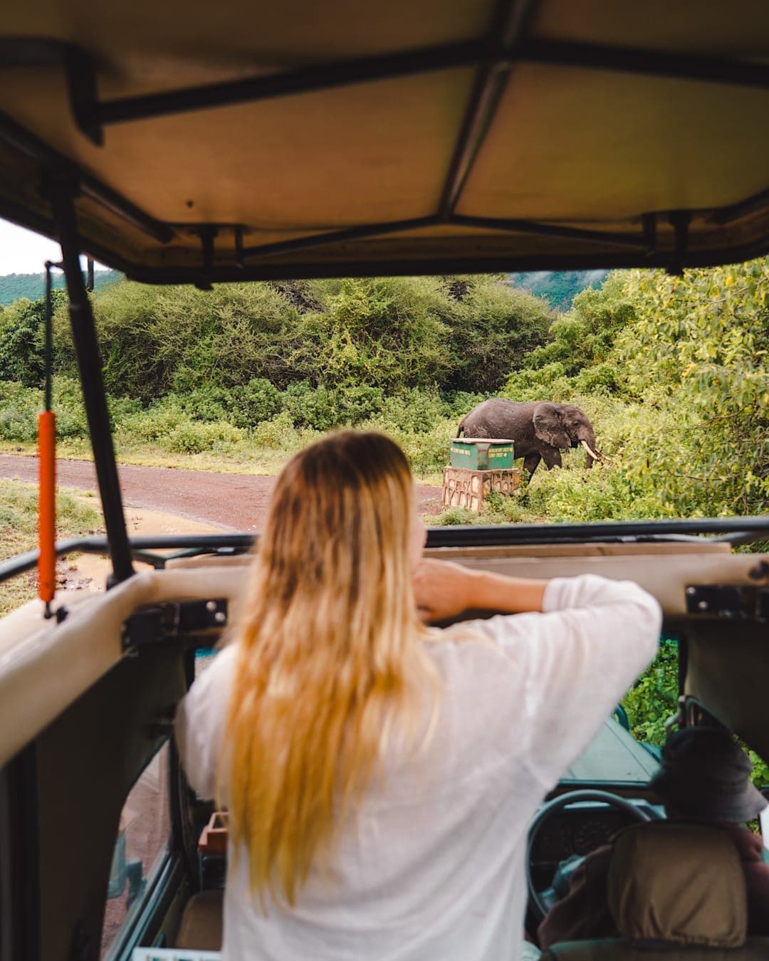 Safari, Zanzibar and Kilimanjaro