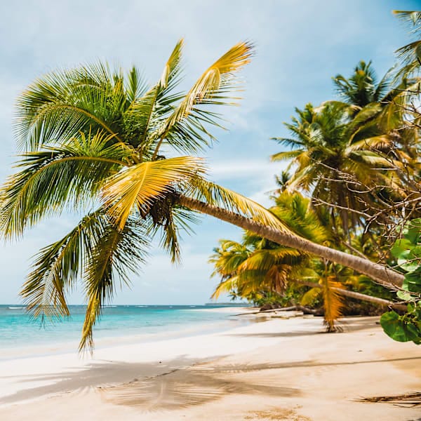 Vietnam Bucket List: Ha Long Bay, Hoi An, Mekong!